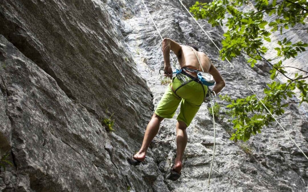 Does being a vegan help my climbing performance